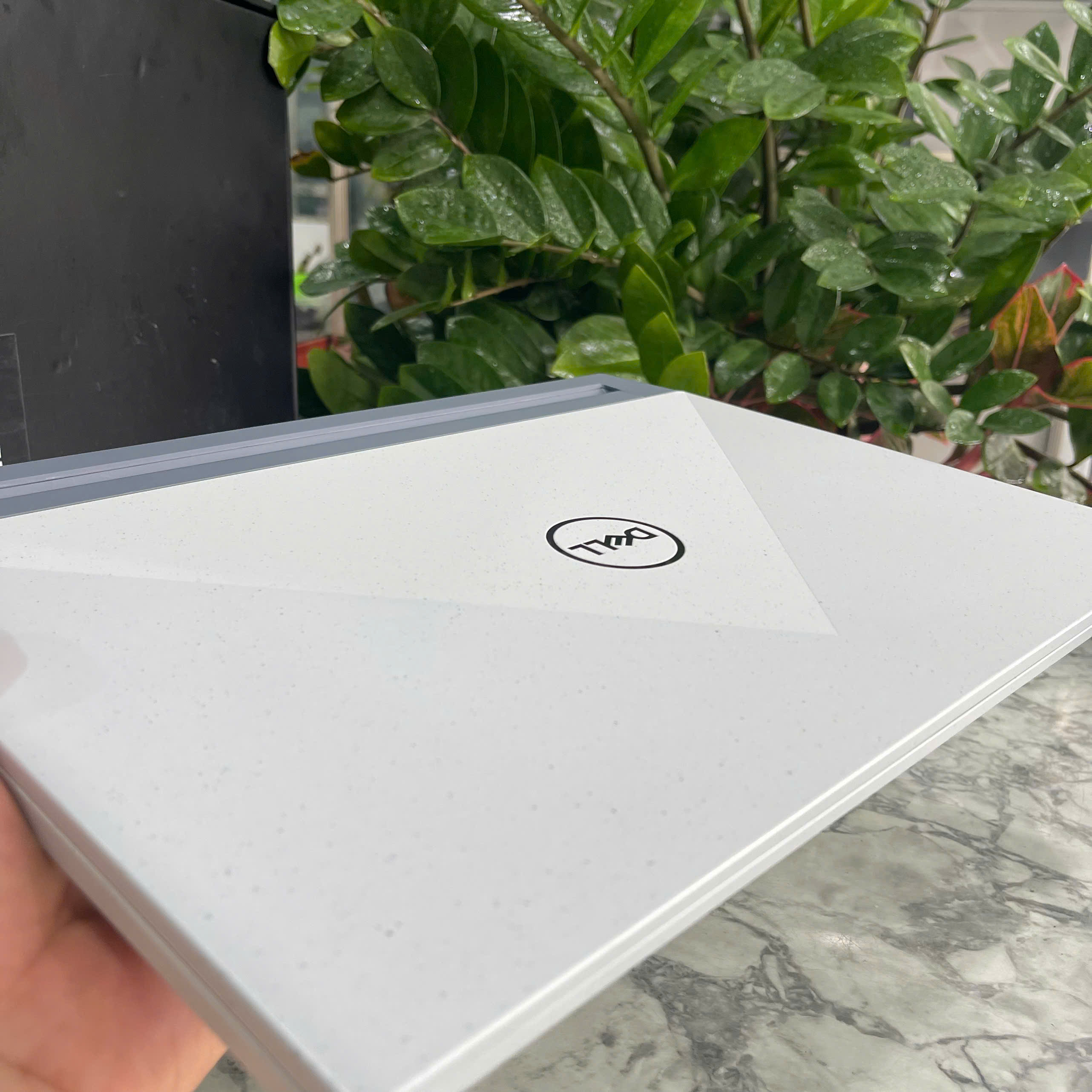  Dell G15 5515 [Like New] Ryzen 7-5800H Ram 16gb Ssd 512gb Nvidia RTX 3050Ti  Màn hình 15.6''IPS Fhd 120Hz