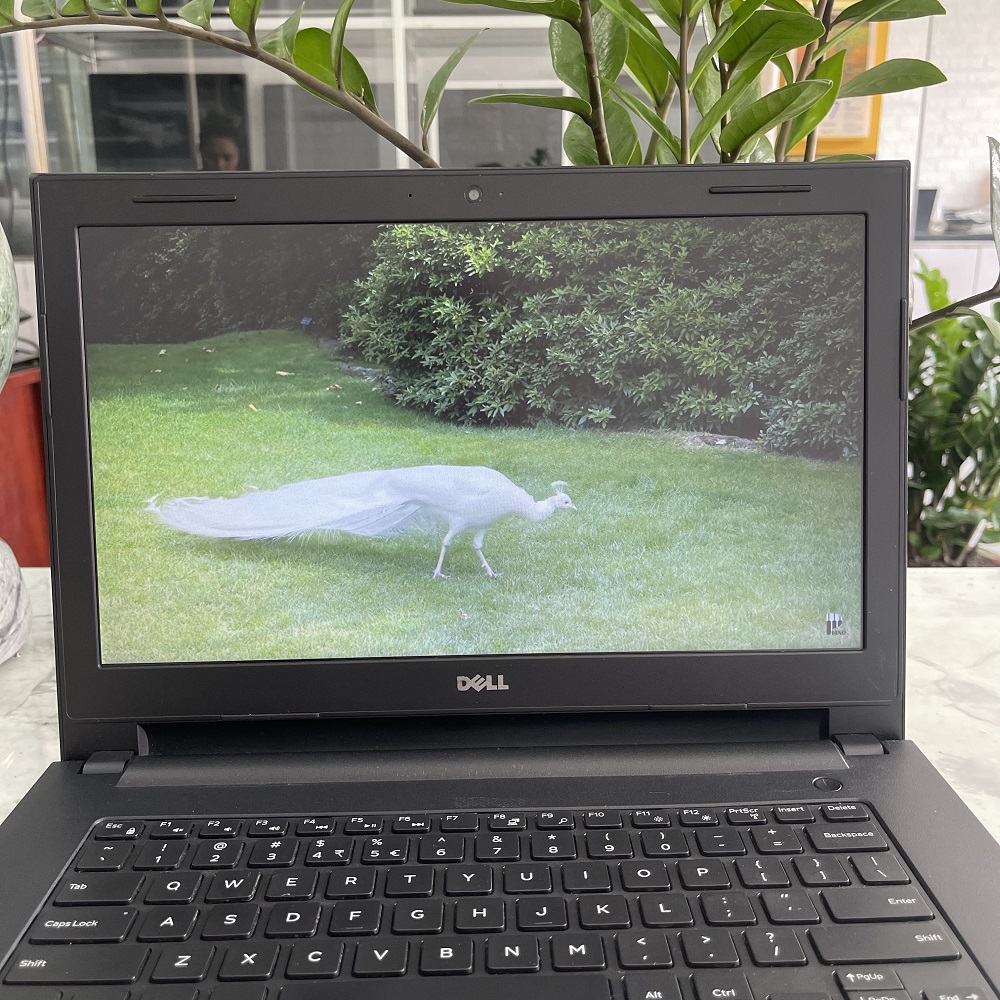 Dell Inspiron 3443 Core I5-5200U Ram 4gb Ssd 256gb Màn hình 14"Inch