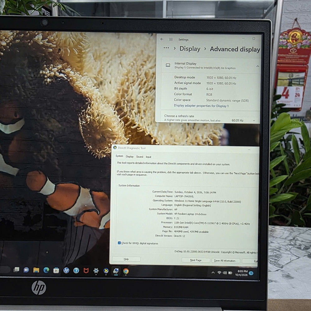 HP Pavilion 14-dv0513TU CORE™ i5-1135G7 RAM 8GB SSD 256GB MÀN HÌNH : 14''INCH IPS