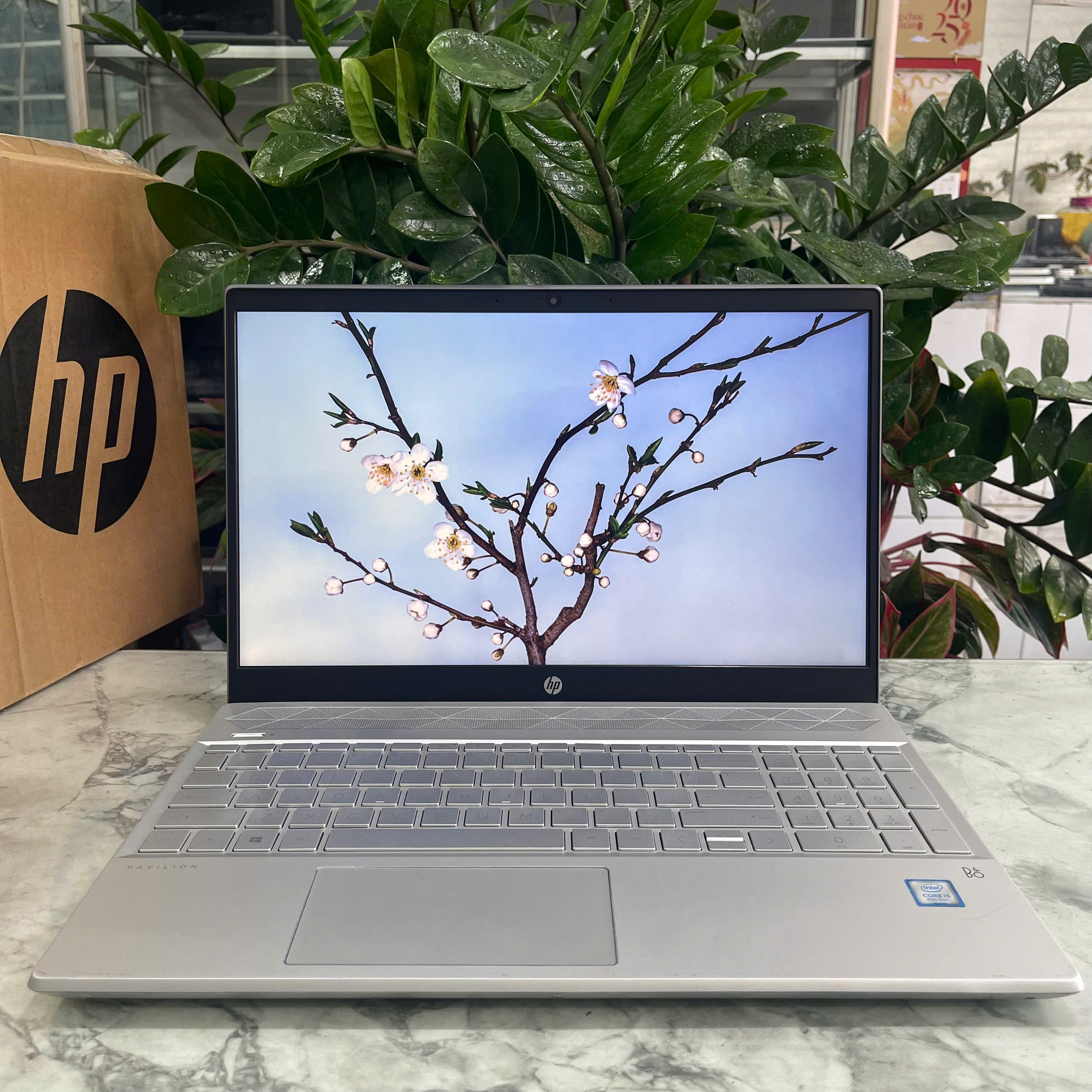 HP Pavilion Laptop 15-cs0xxx Core I5 - 8250U Ram 16gb SSd 128GB Và 500GB HDD Màn : 15.6 Inch FullHD 60Hz