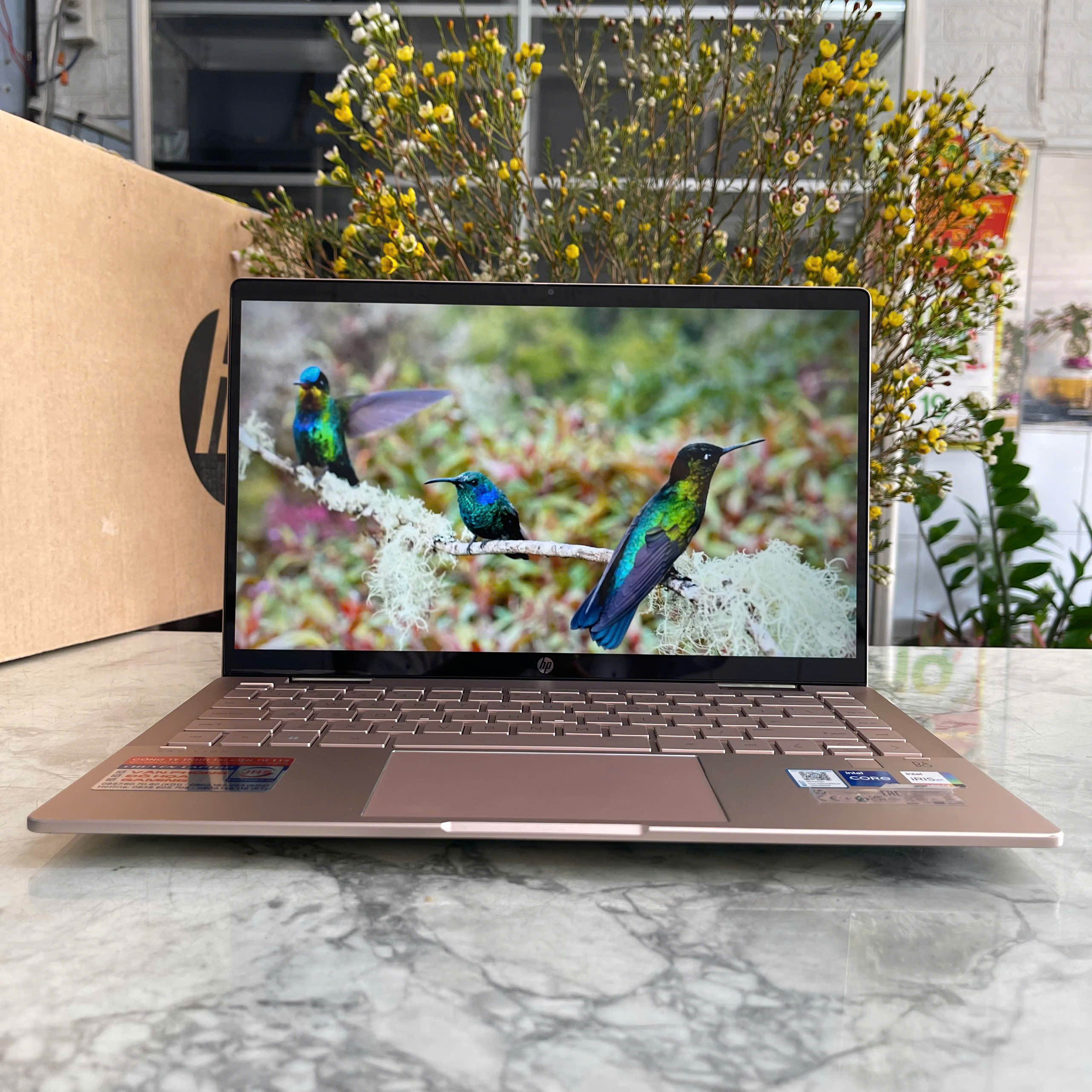 HP Pavilion x360 14-ek0132TU Core I7-1255U Ram 16Gb Ssd 512Gb Màn Hình 14.0'Inch Fhd IPS Touch